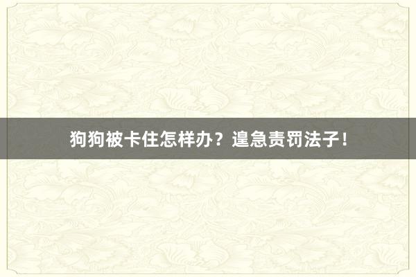 狗狗被卡住怎样办？遑急责罚法子！