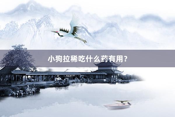 小狗拉稀吃什么药有用？